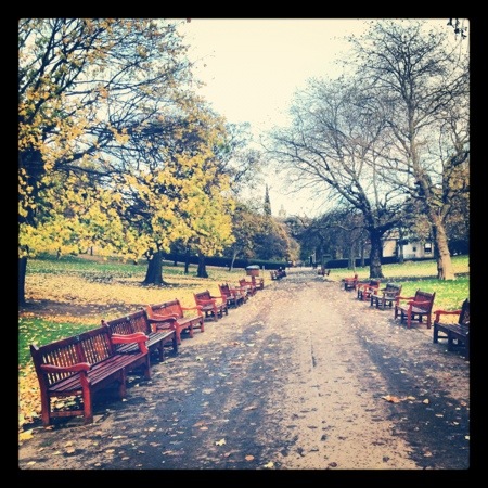 Benches and bare trees in Princes Street Gardens